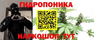 молекула духа Коммунар