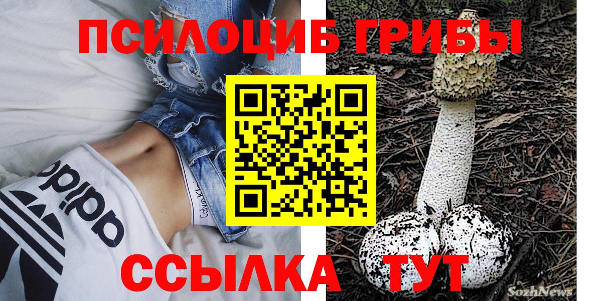 Галлюциногенные грибы Psilocybine cubensis Избербаш